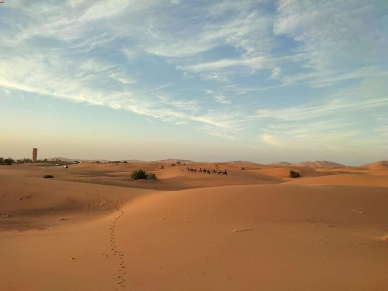 Sam Sand Dunes Jaisalmer